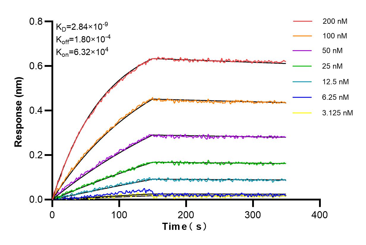 Affinity and Kinetic Characterization of 84994-4-RR