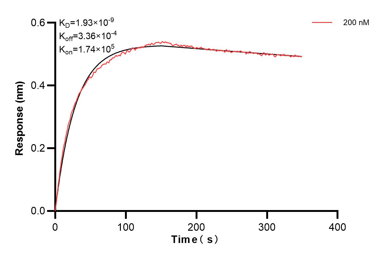 Affinity and Kinetic Characterization of 85020-2-PBS