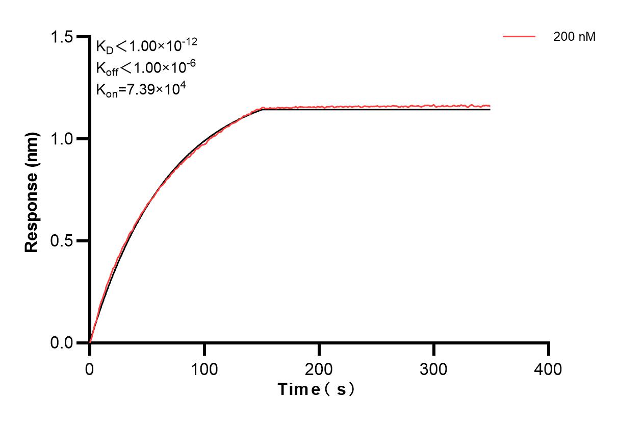 Affinity and Kinetic Characterization of 85031-3-PBS