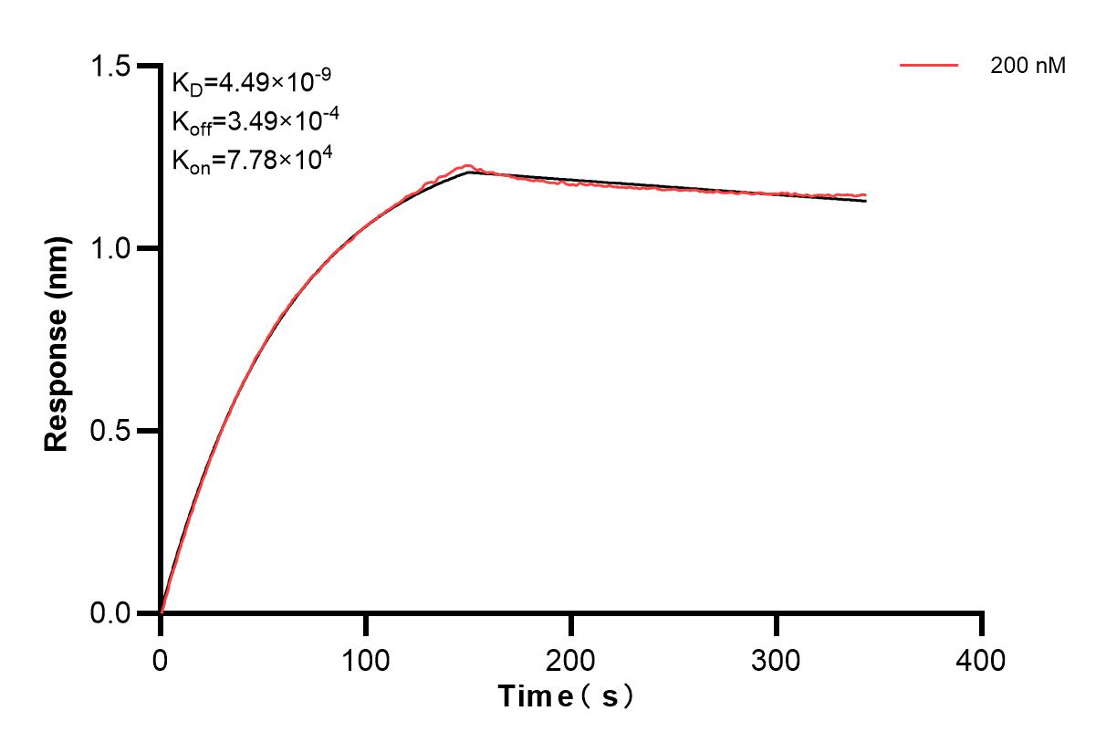 Biolayer interferometry (BLl) kinetic assay of 85037-3-PBS against Human SEC22B was performed. The affinity constant is 4.49 nM. Affinity of 85037-3-PBS
