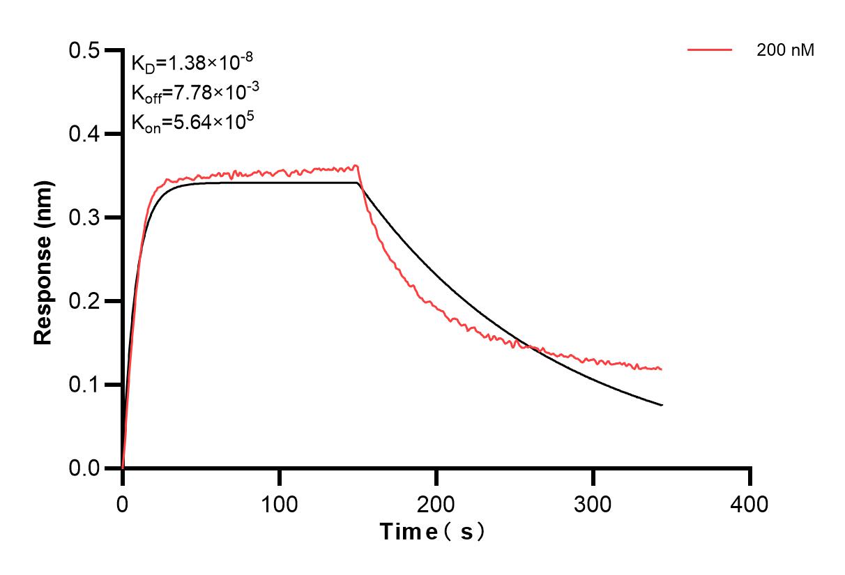 Affinity and Kinetic Characterization of 85068-2-PBS