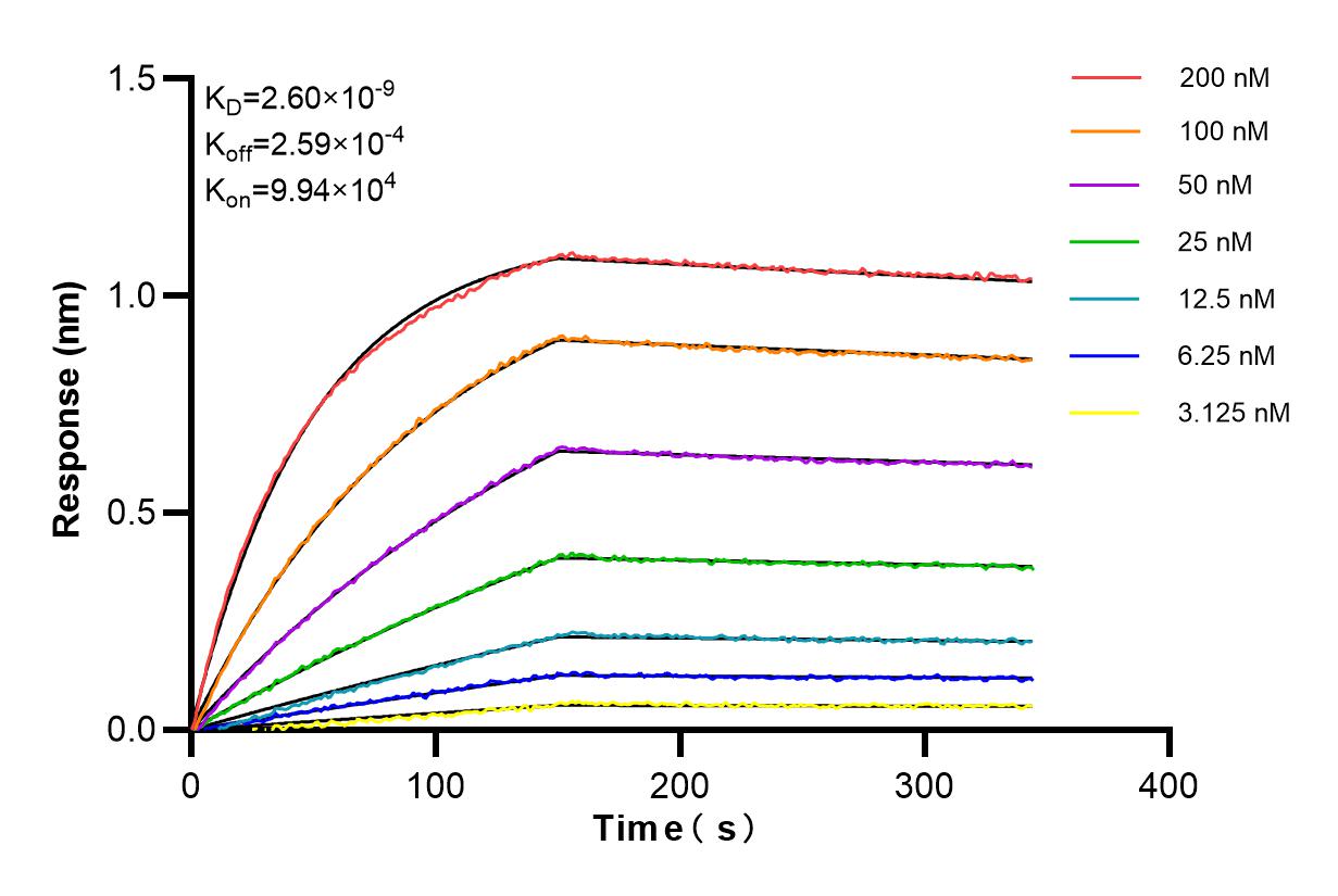 Affinity and Kinetic Characterization of 85075-1-RR