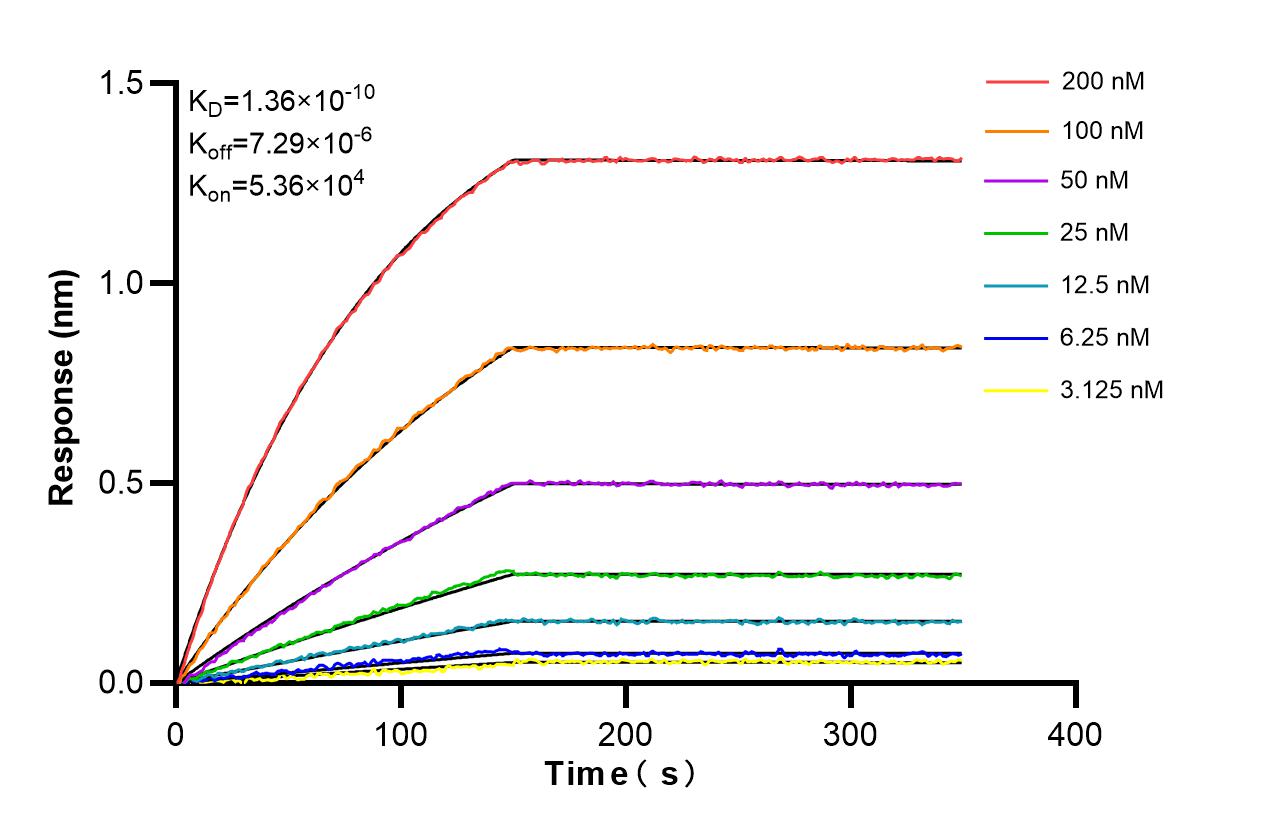 Affinity and Kinetic Characterization of 85082-3-PBS