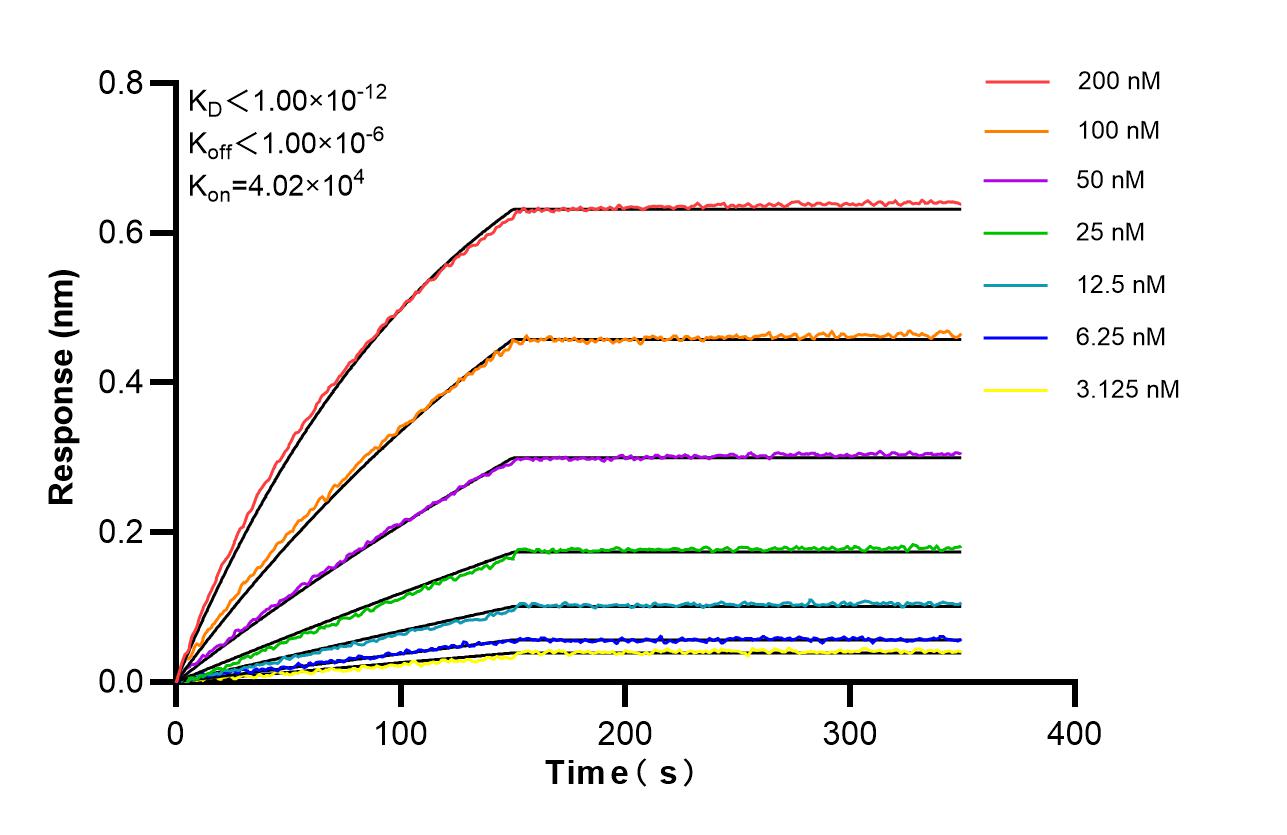 Affinity of 85088-2-PBS Affinity of 85088-2-PBS