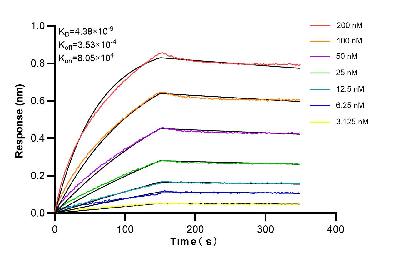 Affinity of 85088-3-PBS Affinity of 85088-3-PBS