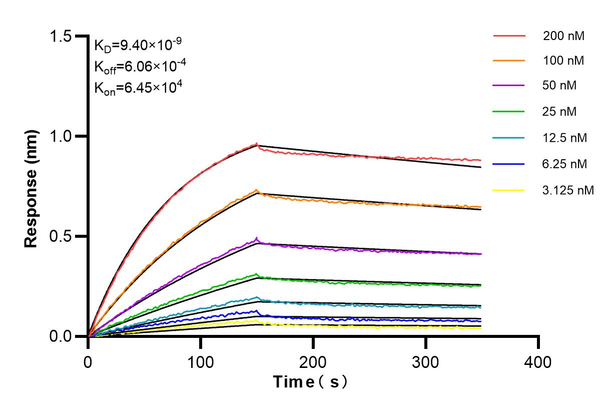 Affinity and Kinetic Characterization of 85096-1-RR