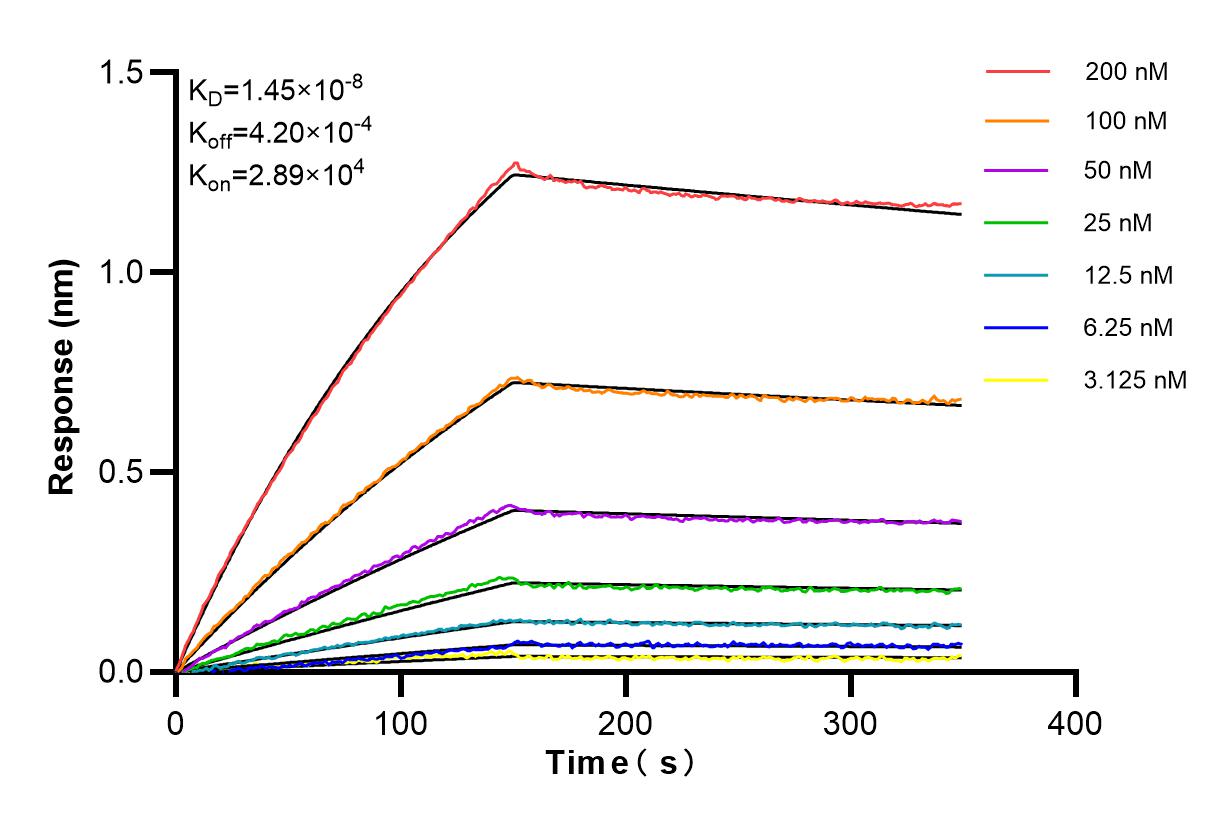 Affinity and Kinetic Characterization of 85109-4-RR