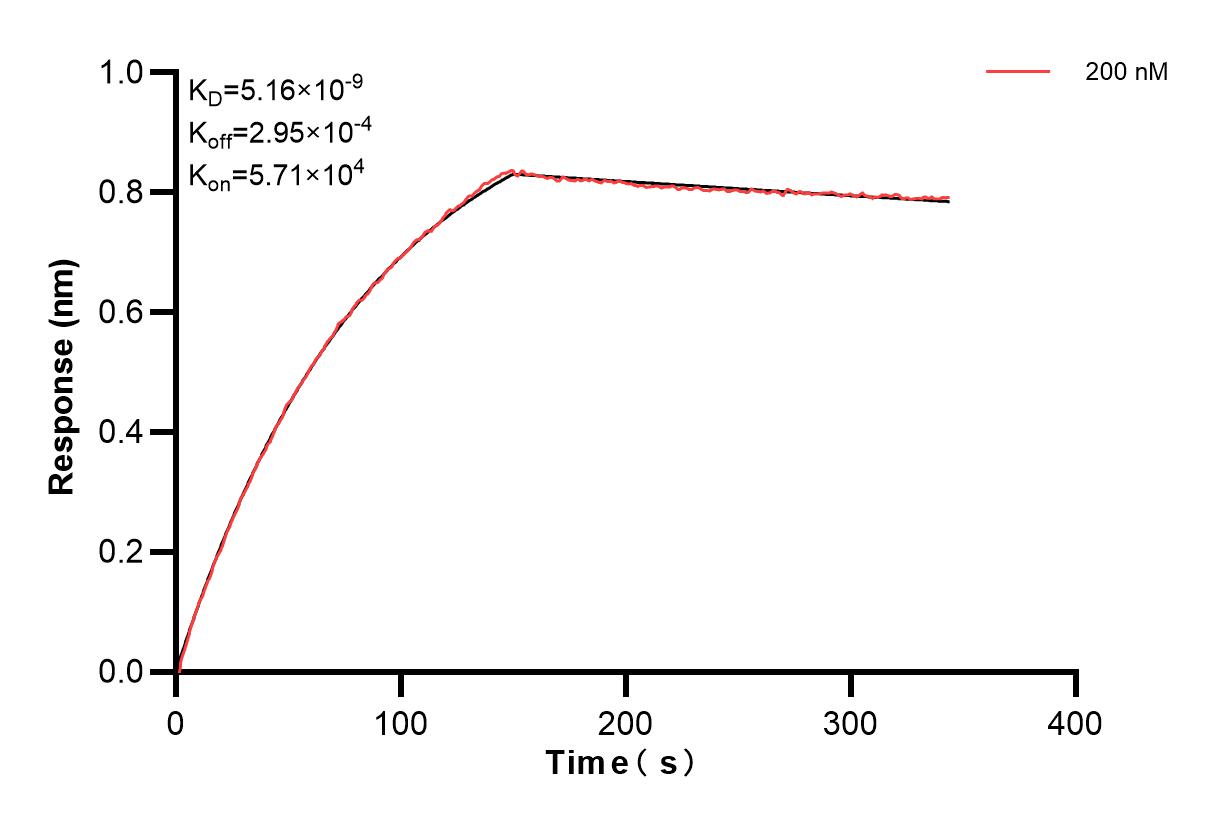 Affinity and Kinetic Characterization of 85121-1-PBS