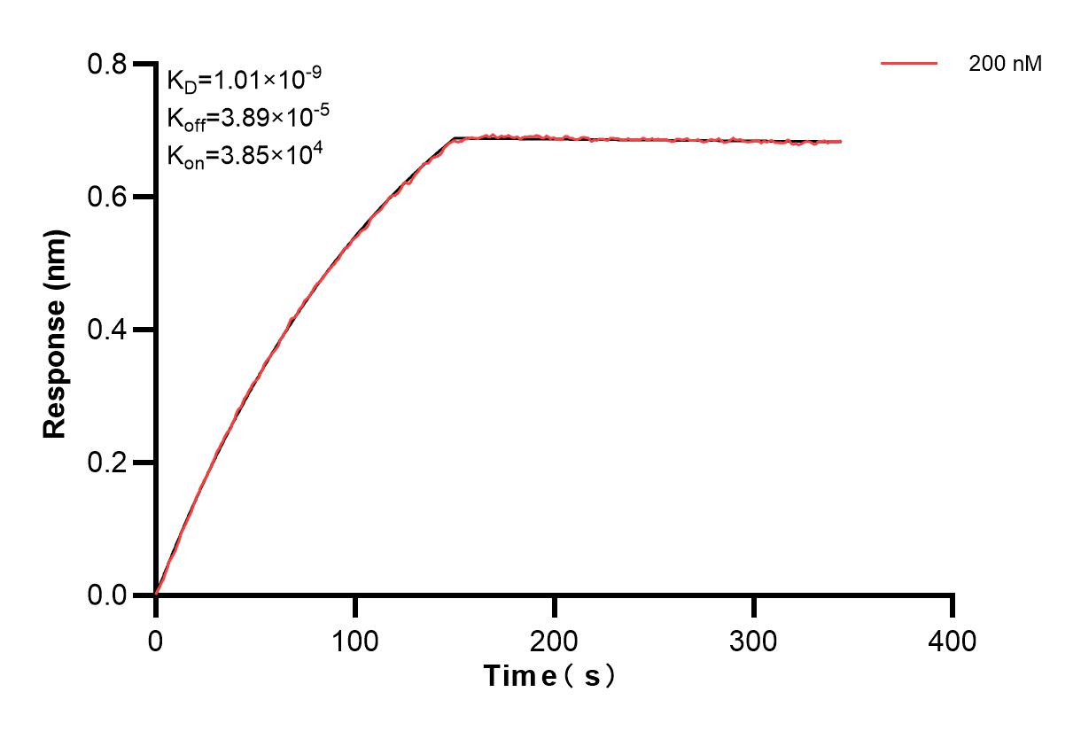Affinity and Kinetic Characterization of 85121-2-PBS