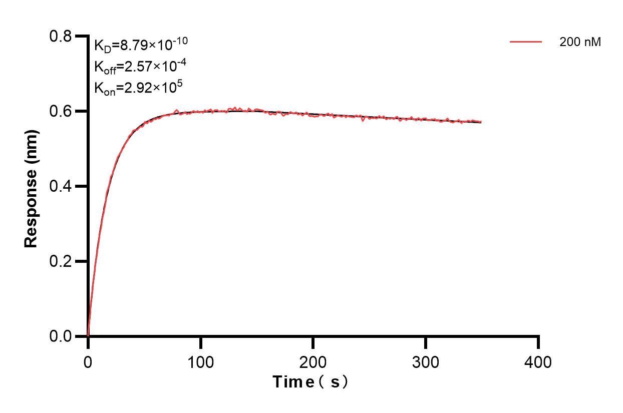 Affinity and Kinetic Characterization of 85122-2-PBS