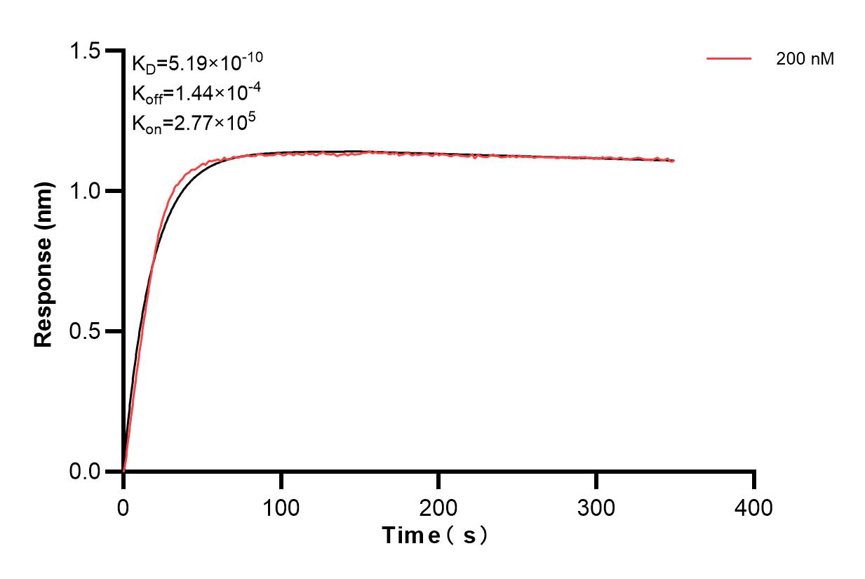 Affinity and Kinetic Characterization of 85129-4-PBS