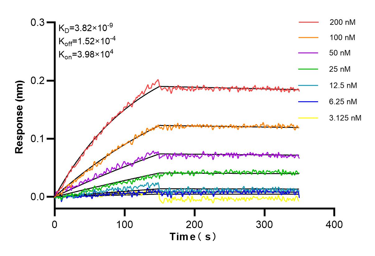 Affinity and Kinetic Characterization of 85137-4-RR