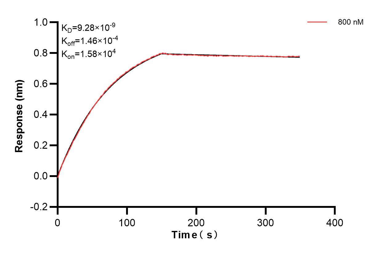 Biolayer interferometry (BLl) kinetic assays of 85138-1-PBS against Human TANK were performed. The affinity constant is 9.28 nM. Affinity of 85138-1-PBS