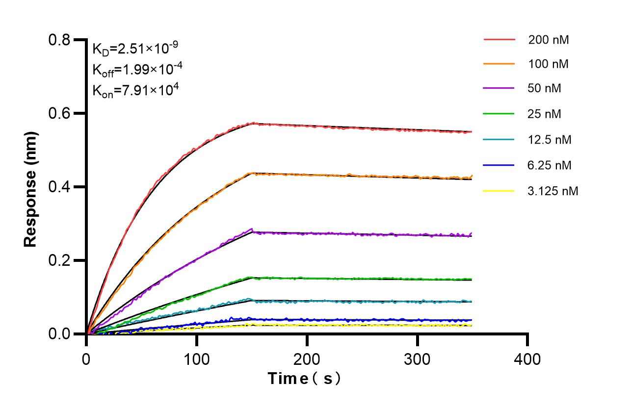 Biolayer interferometry (BLl) kinetic assays of <a class='green' href='/productredirect?CatalogNo=85138-3-RR' target='_blank'>85138-3-RR</a> against Human TANK were performed. The affinity constant is 2.51 nM. Affinity of 85138-3-RR