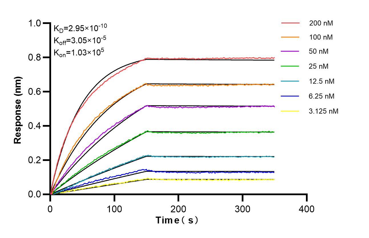Biolayer interferometry (BLl) kinetic assays of 85139-9-RR against Human EPHB4 were performed. The affinity constant is 0.295 nM. Affinity of 85139-9-RR