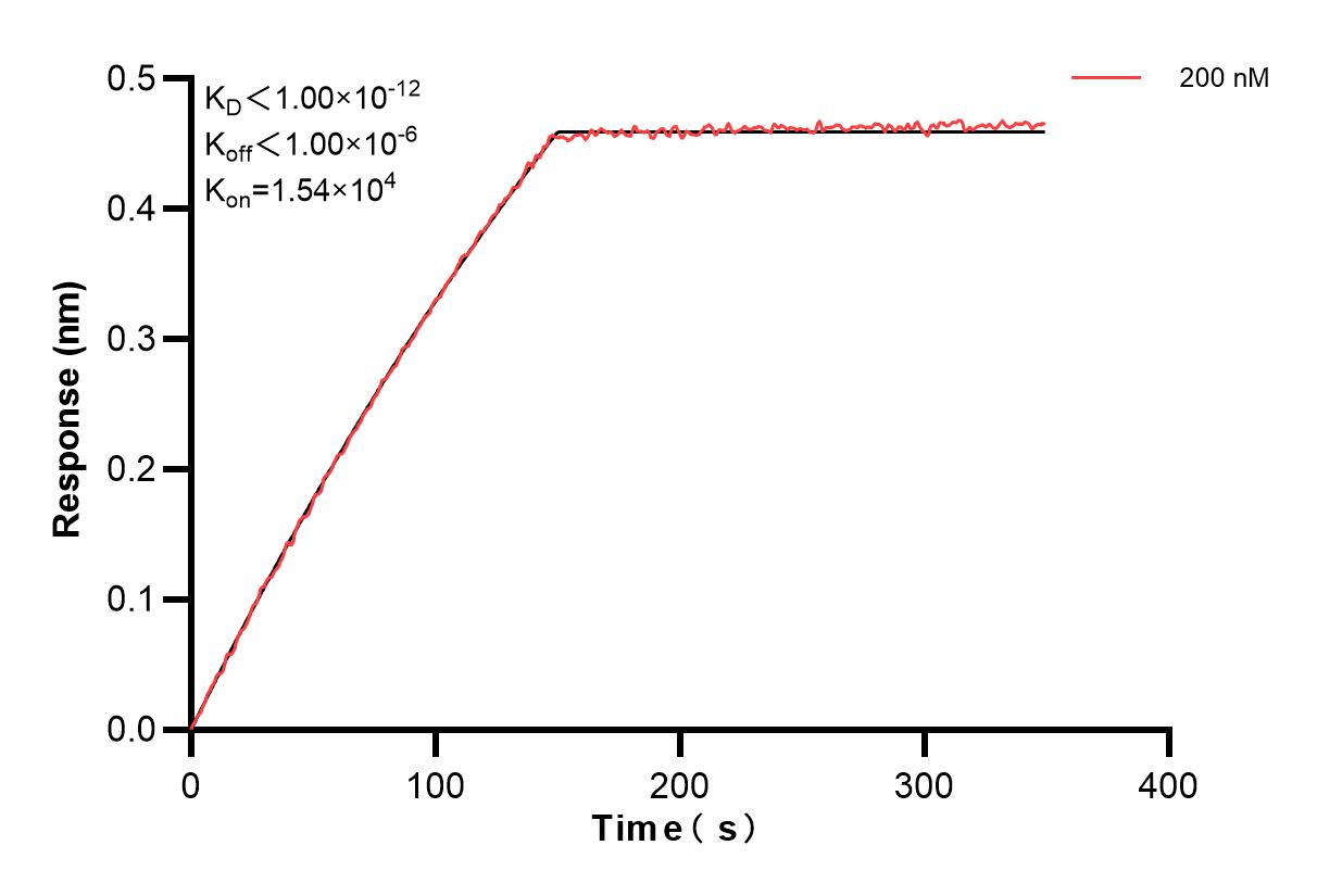 Affinity and Kinetic Characterization of 85161-5-PBS