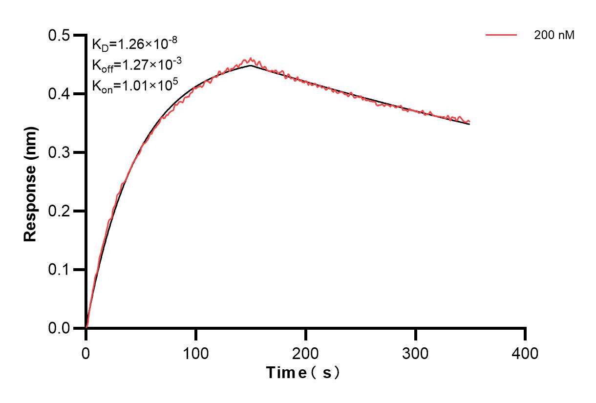 Biolayer interferometry (BLl) kinetic assay of 85173-1-PBS against Human ICOSLG was performed. The affinity constant is 1.26 nM. Affinity and Kinetic Characterization of 85173-1-PBS