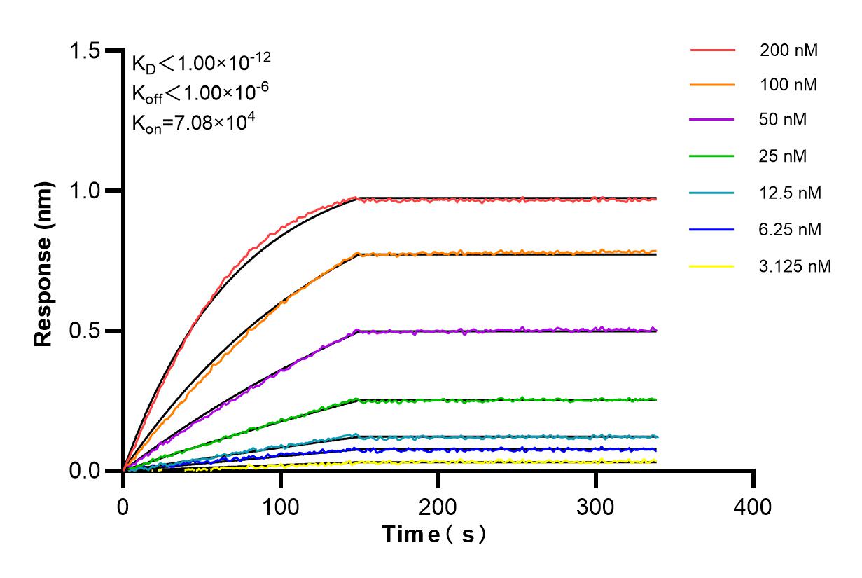 Affinity and Kinetic Characterization of 85188-4-RR