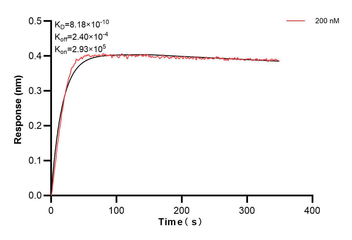 Affinity and Kinetic Characterization of 85209-3-PBS