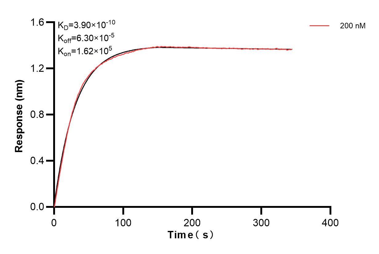 Affinity and Kinetic Characterization of 85210-1-PBS