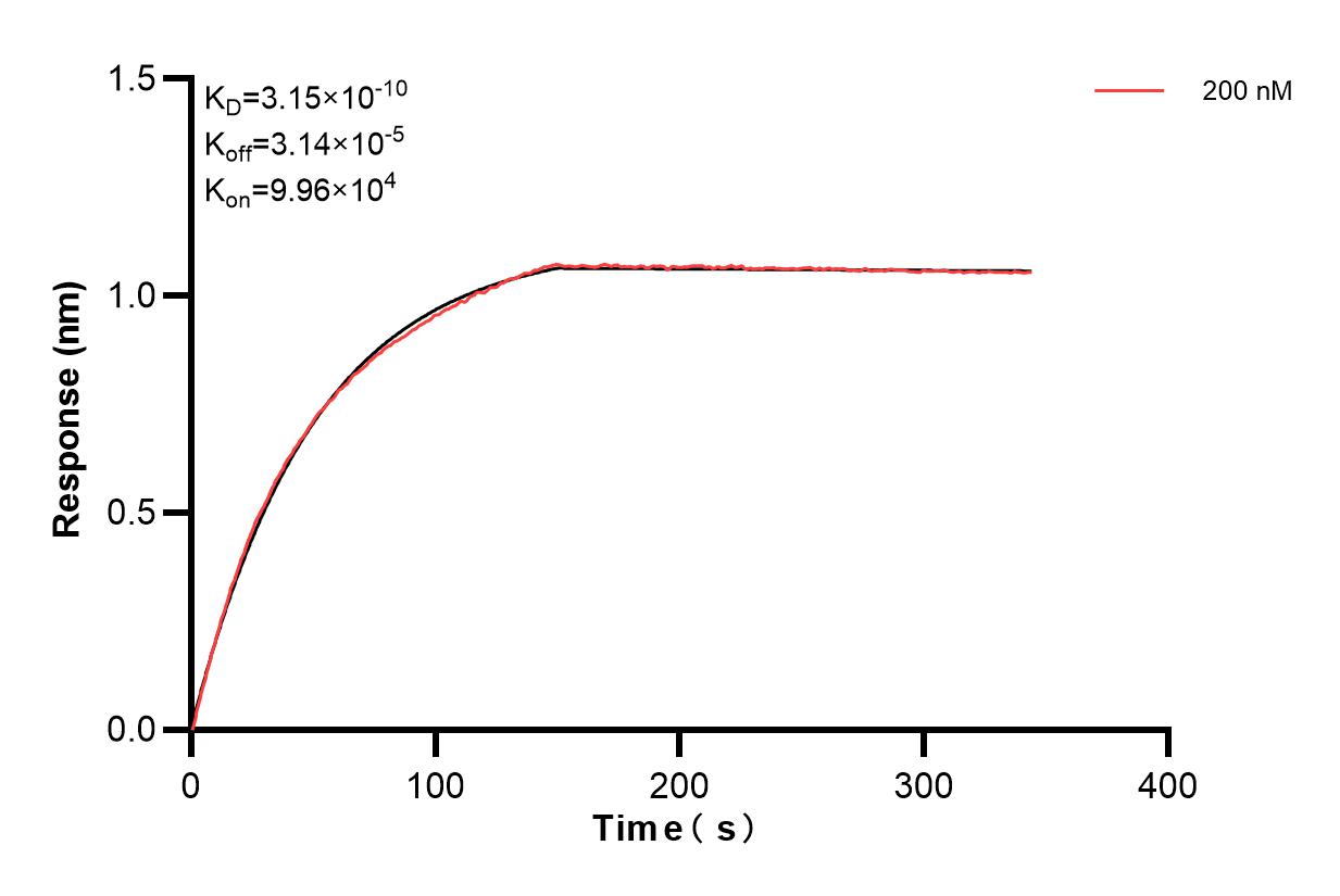 Biolayer interferometry (BLl) kinetic assay of 85210-2-PBS against Human KCTD5 were performed. The affinity constant is 0.315 nM. Affinity of 85210-2-PBS