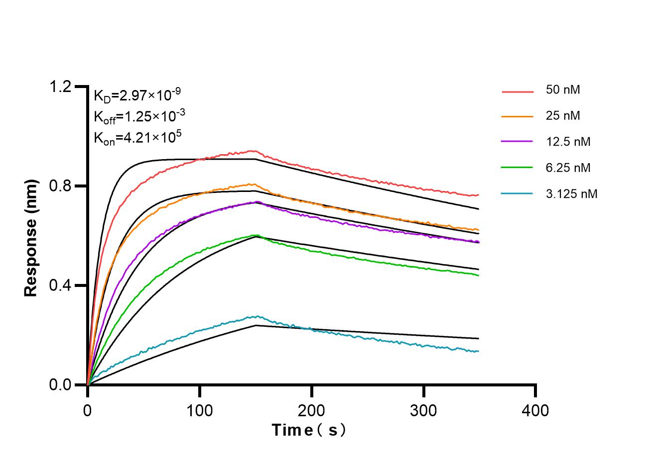 Affinity and Kinetic Characterization of 85245-5-RR Affinity and Kinetic Characterization of 85245-5-RR
