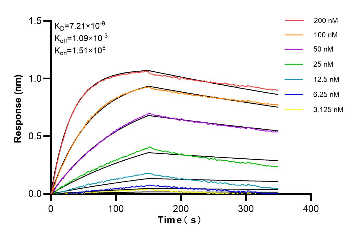 Affinity and Kinetic Characterization of 85345-1-RR