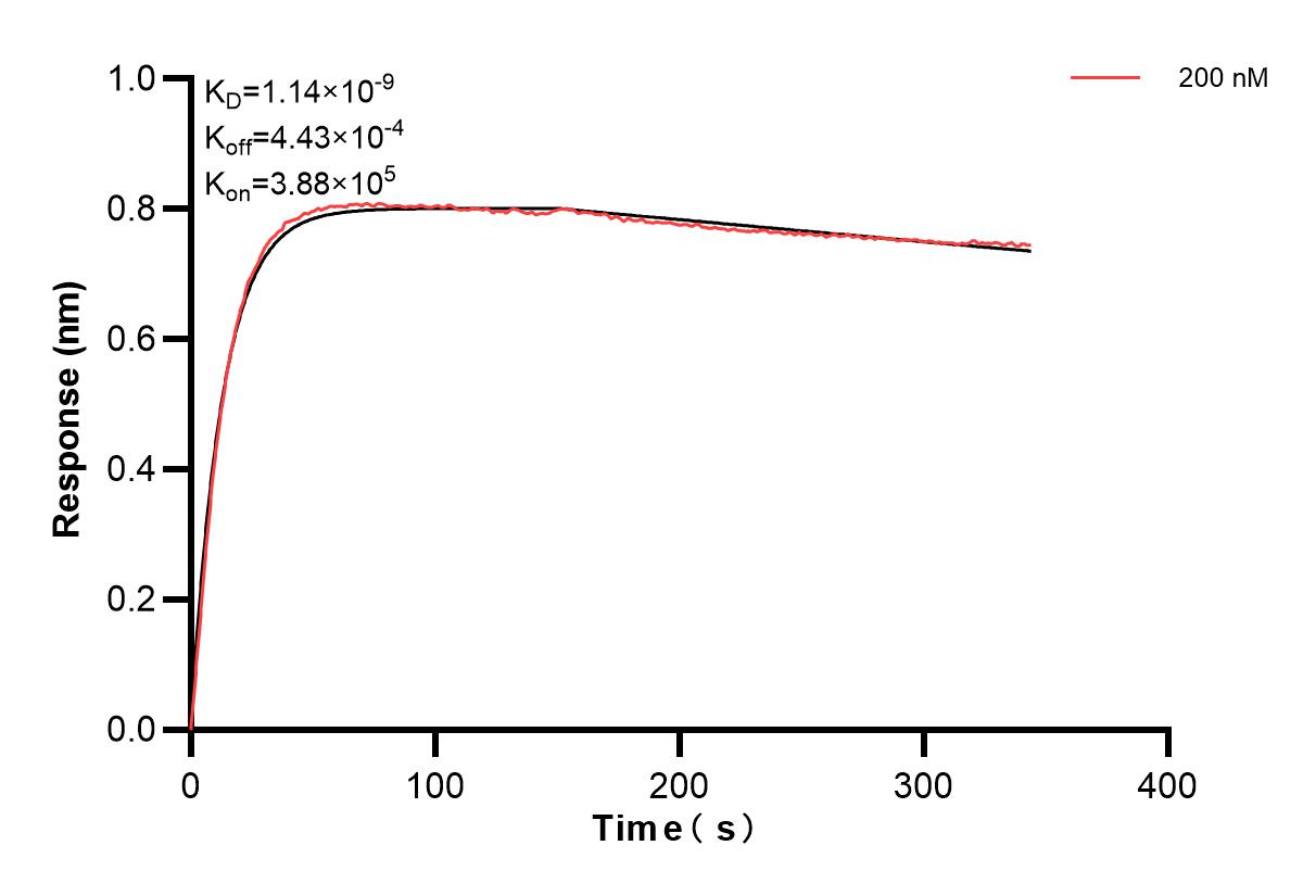 Affinity of 85402-3-PBS