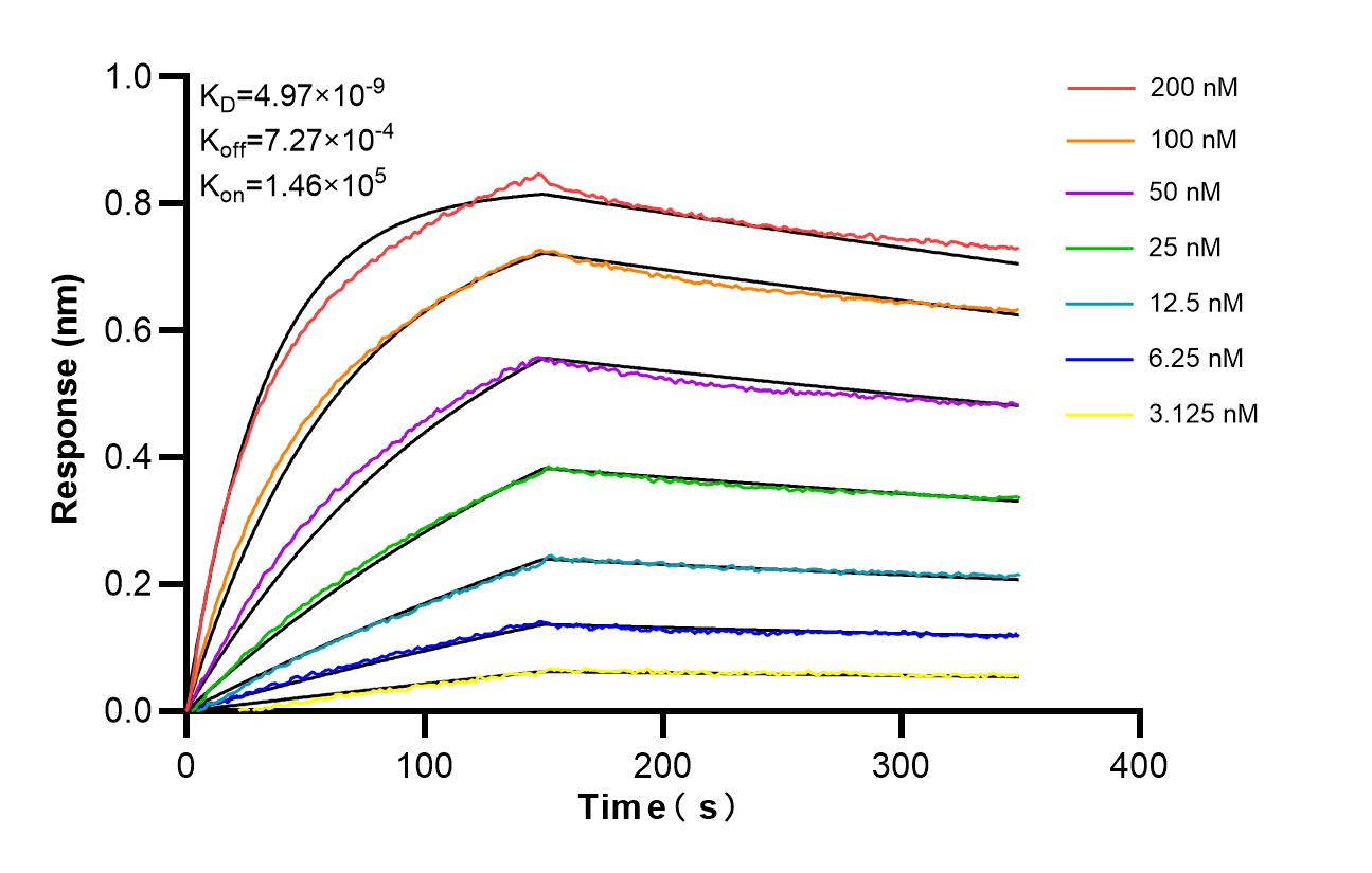 Affinity of 85434-3-RR Affinity of 85434-3-RR
