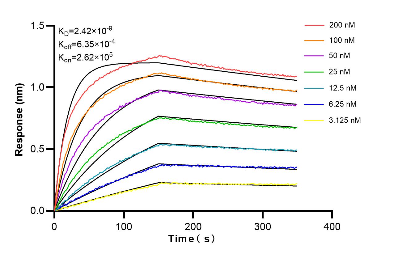 Affinity and Kinetic Characterization of 85438-1-PBS