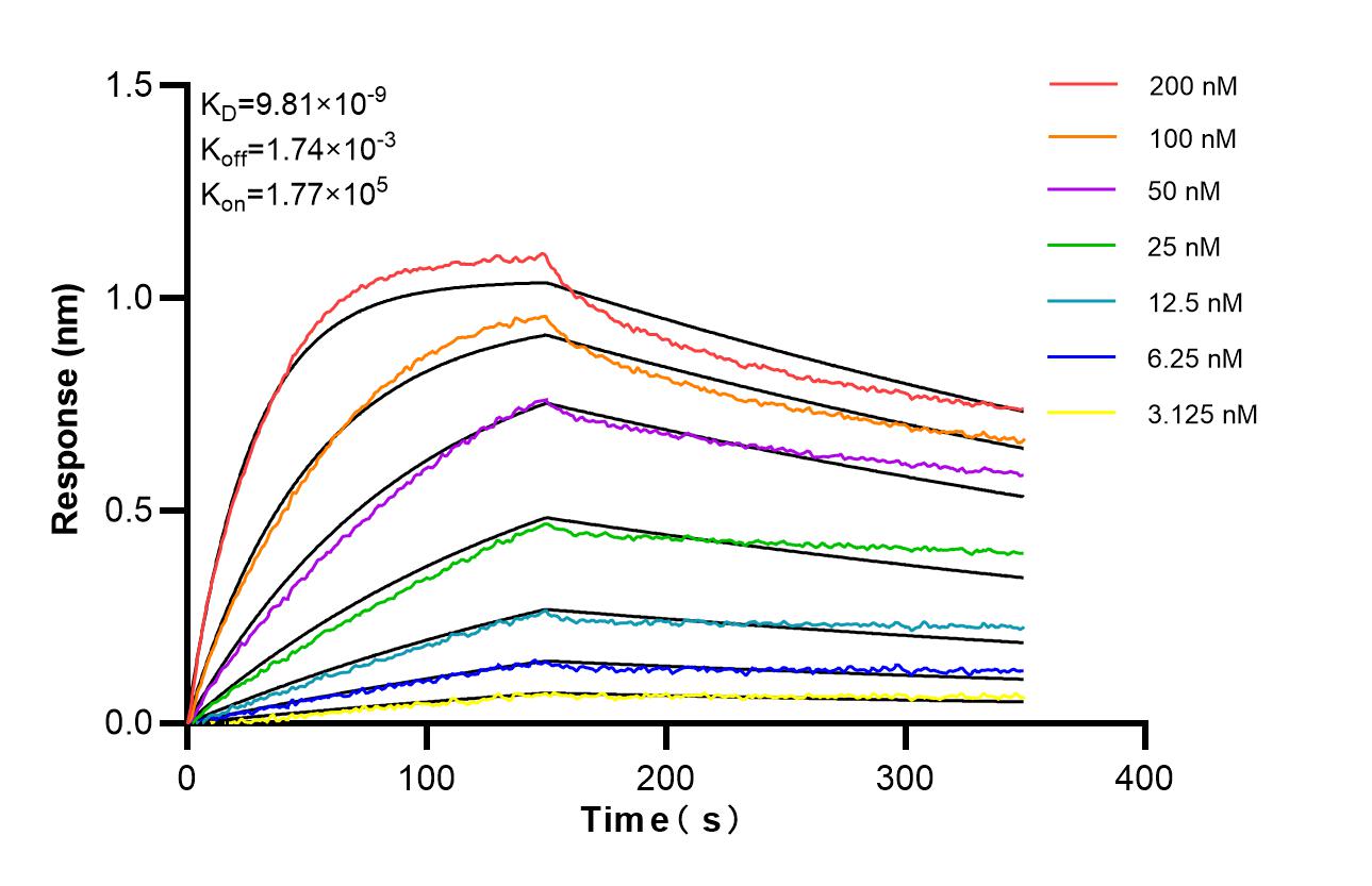 Affinity and Kinetic Characterization of 85438-3-PBS Affinity and Kinetic Characterization of 85438-3-PBS