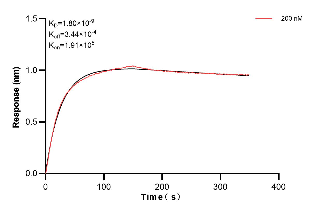 Affinity and Kinetic Characterization of 85444-2-PBS