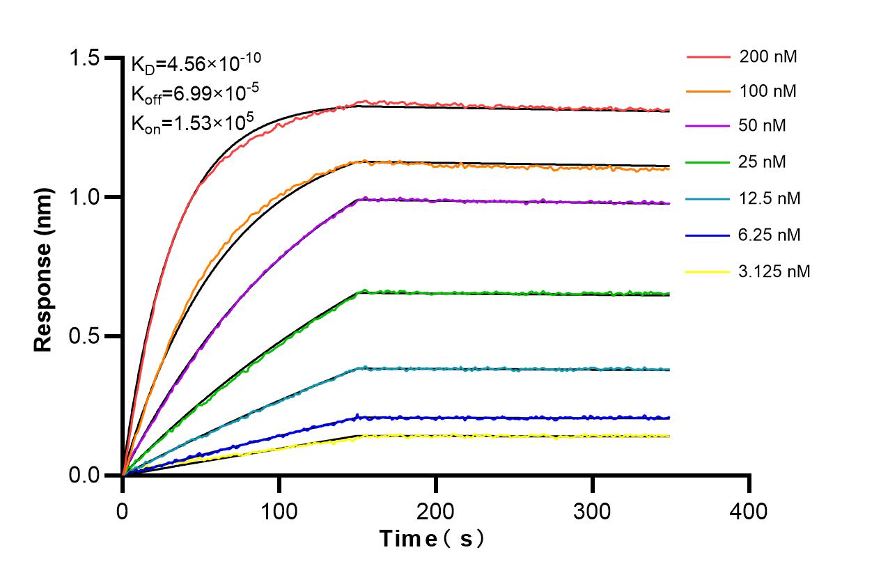 Affinity and Kinetic Characterization of 85445-2-PBS
