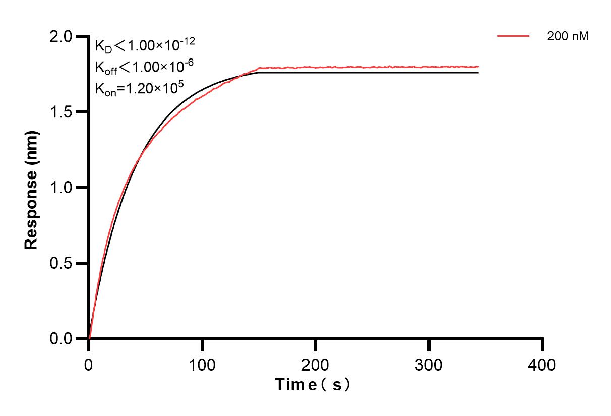 Affinity of 85596-2-PBS
