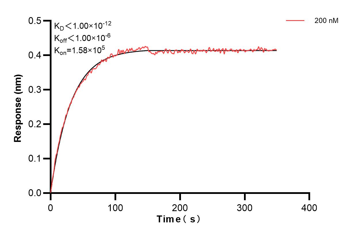 Biolayer interferometry (BLl) kinetic assay of 85605-4-PBS against Human Chromogranin A was performed. The affinity constant is below 1 pM. Affinity and Kinetic Characterization of 85605-4-PBS