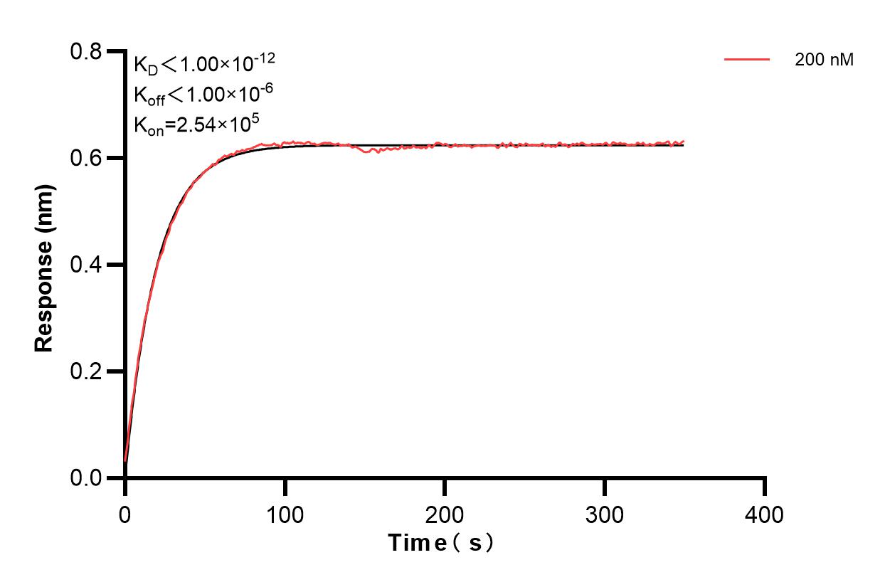 Biolayer interferometry (BLl) kinetic assay of 85610-1-PBS against Human PGLYRP1 was performed. The affinity constant is below 1 pM. Affinity of 85610-1-PBS