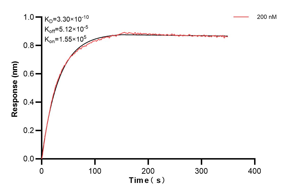 Affinity and Kinetic Characterization of 85623-3-PBS Affinity and Kinetic Characterization of 85623-3-PBS