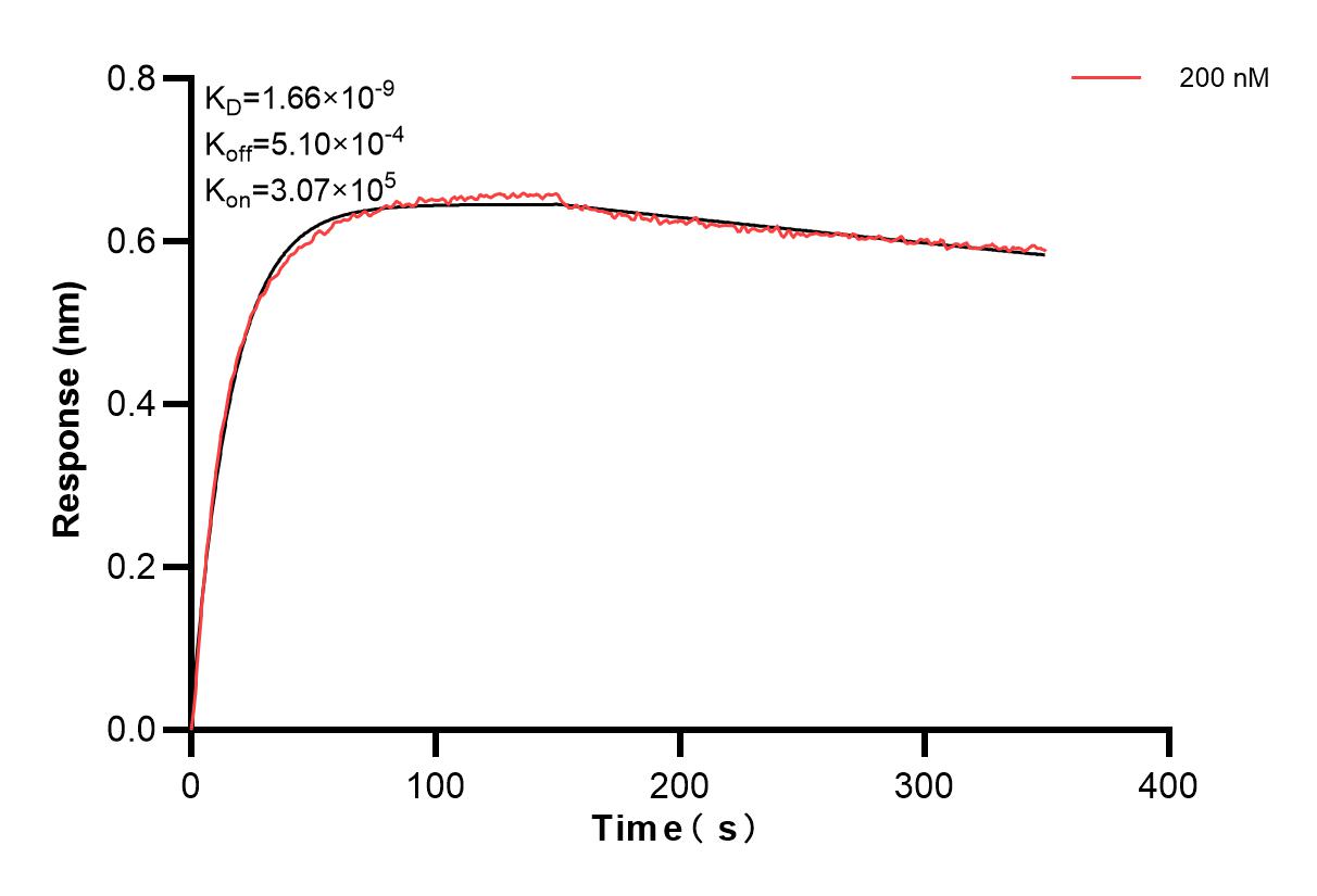 Affinity and Kinetic Characterization of 85627-3-PBS