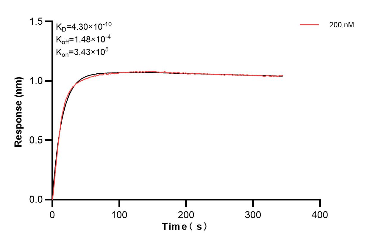 Affinity and Kinetic Characterization of 85633-5-PBS