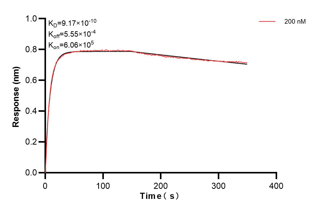 Biolayer interferometry (BLl) kinetic assay of 85639-3-PBS against Human PFKFB2 was performed. The affinity constant is 0.917 nM. Affinity and Kinetic Characterization of 85639-3-PBS