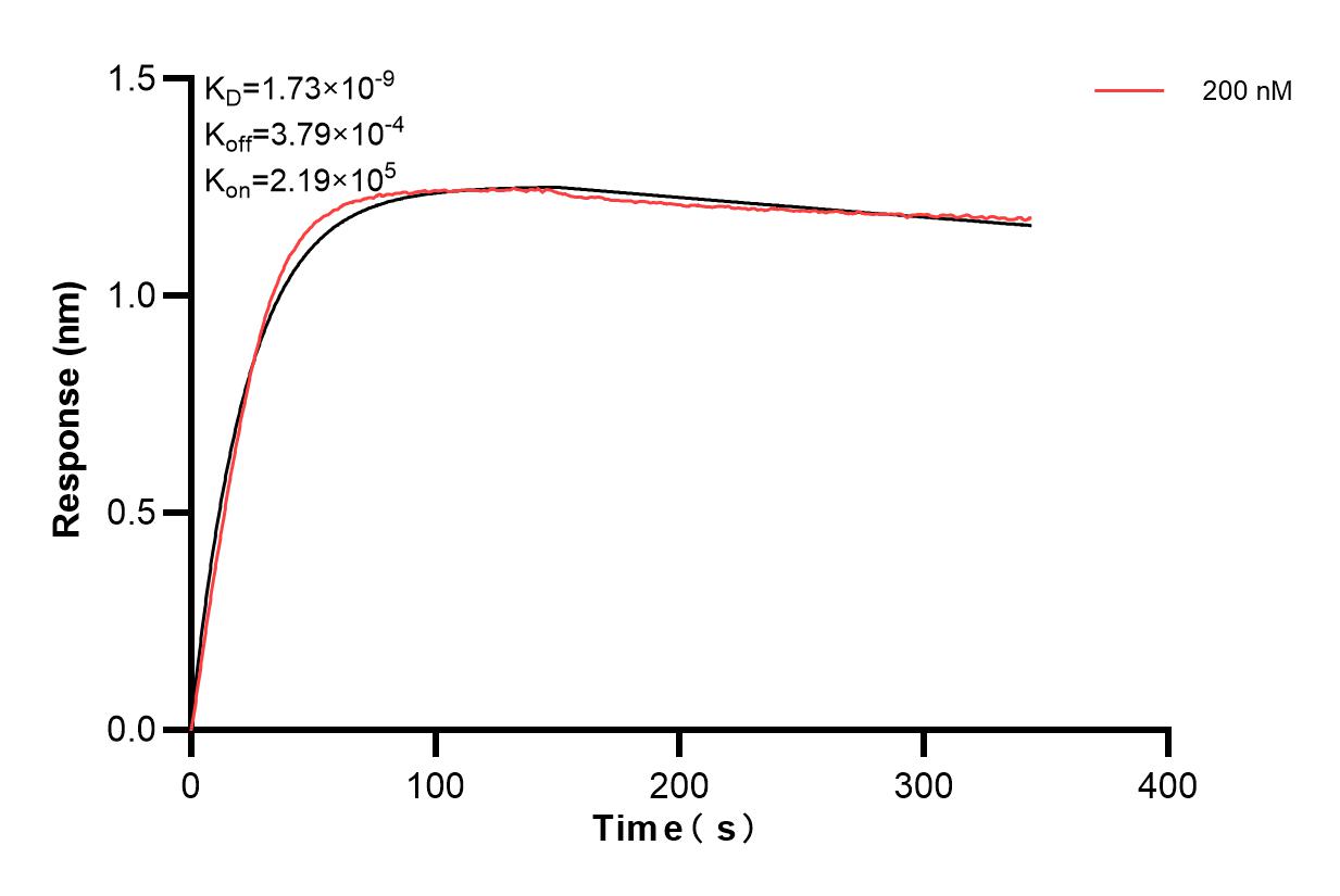 Affinity and Kinetic Characterization of 85663-1-PBS