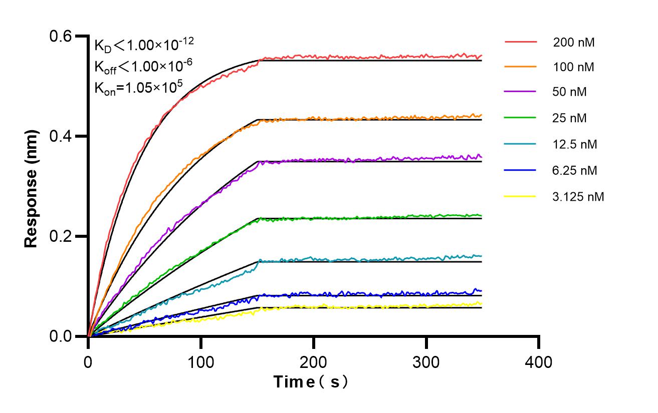 Affinity of 85684-6-RR