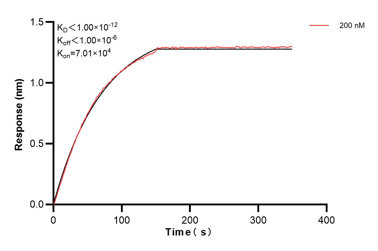 Affinity and Kinetic Characterization of 85686-3-PBS