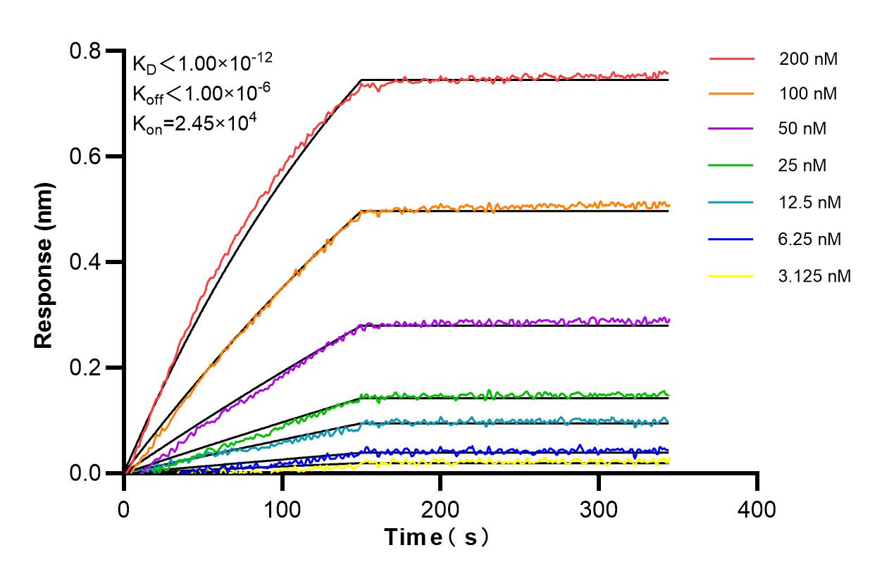 Affinity and Kinetic Characterization of 85690-5-RR