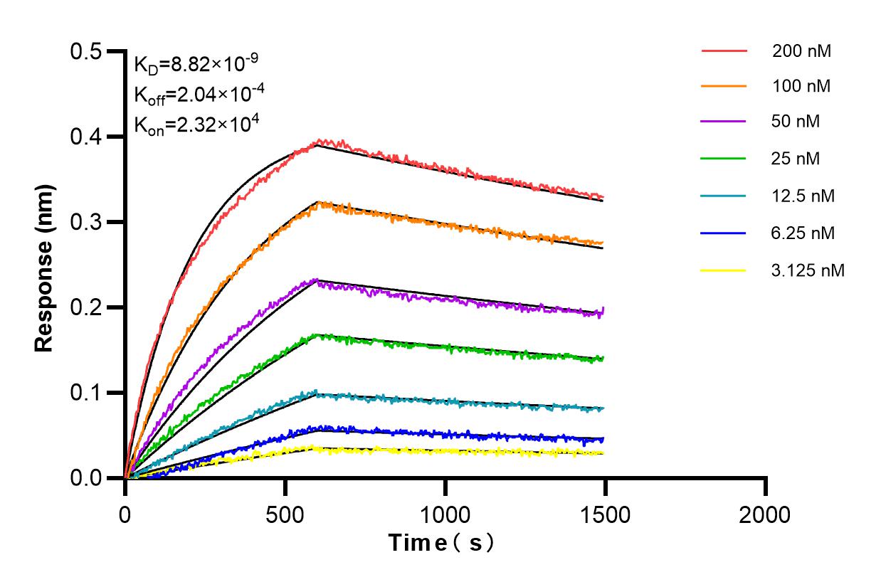 Affinity and Kinetic Characterization of 85693-4-RR