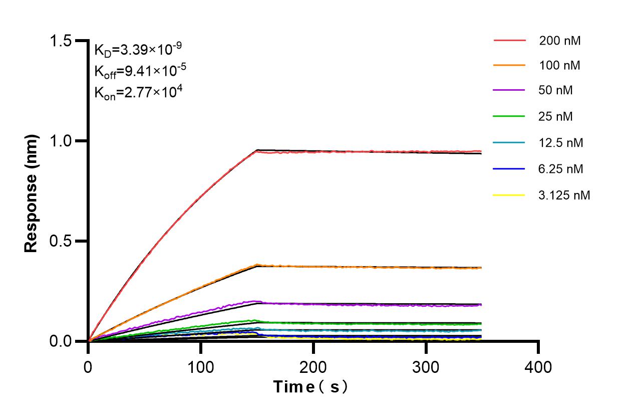 Affinity of 85713-1-RR