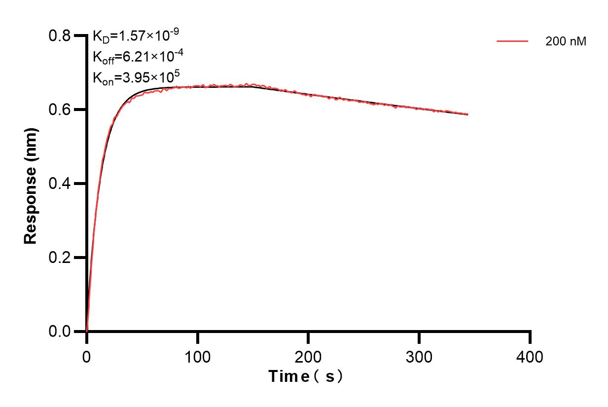 Affinity and Kinetic Characterization of 85727-3-PBS