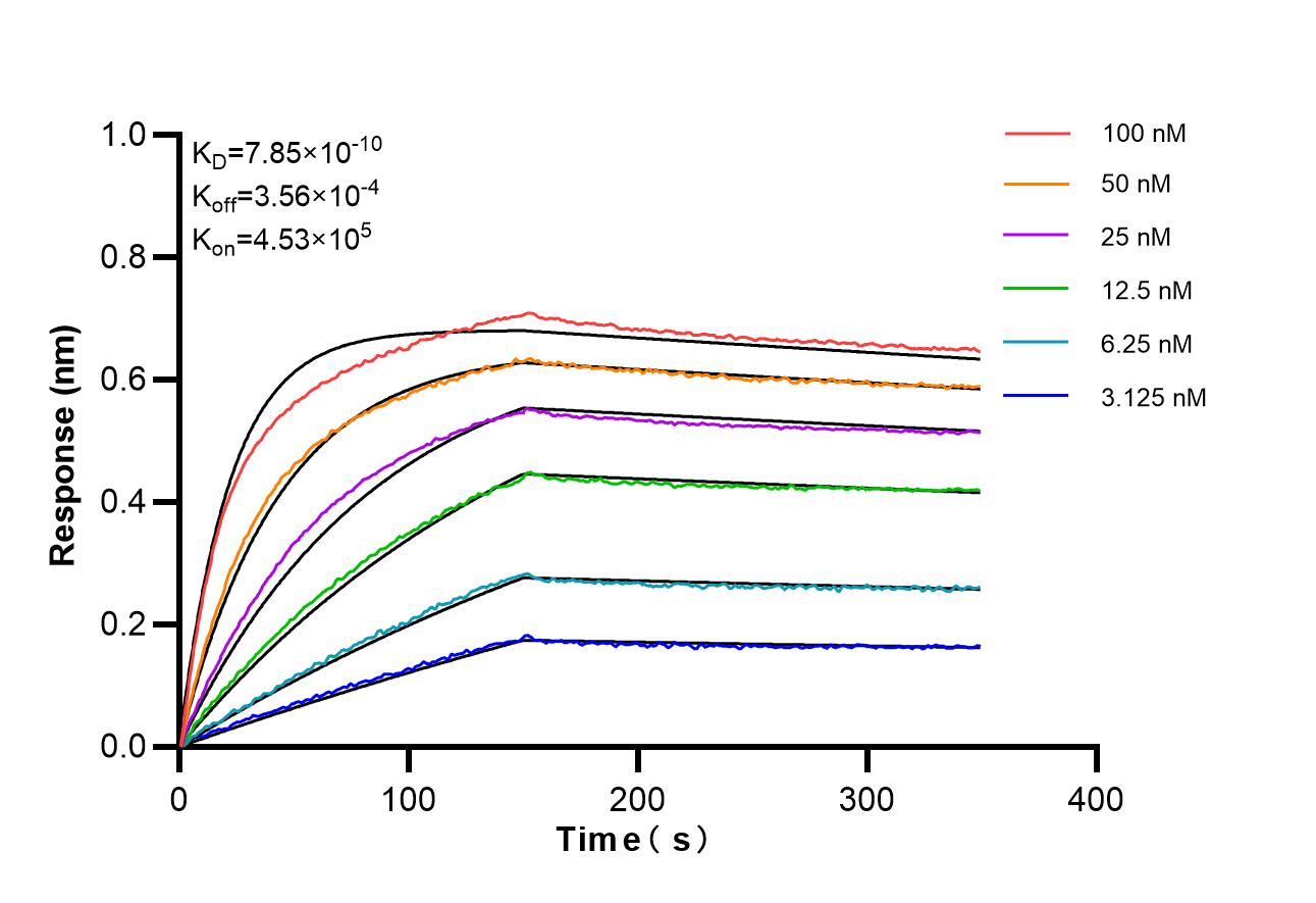 Affinity of 85745-3-RR