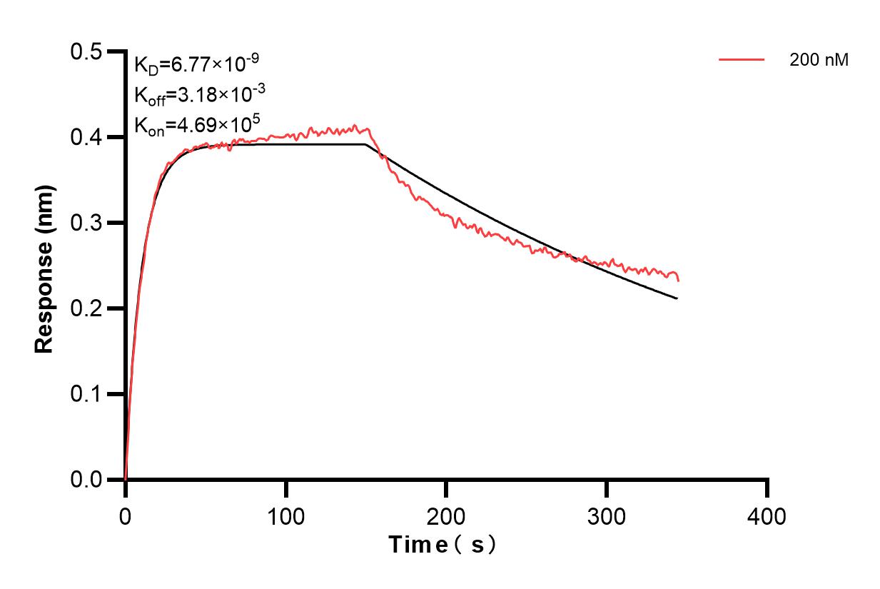 Affinity and Kinetic Characterization of 85756-2-PBS