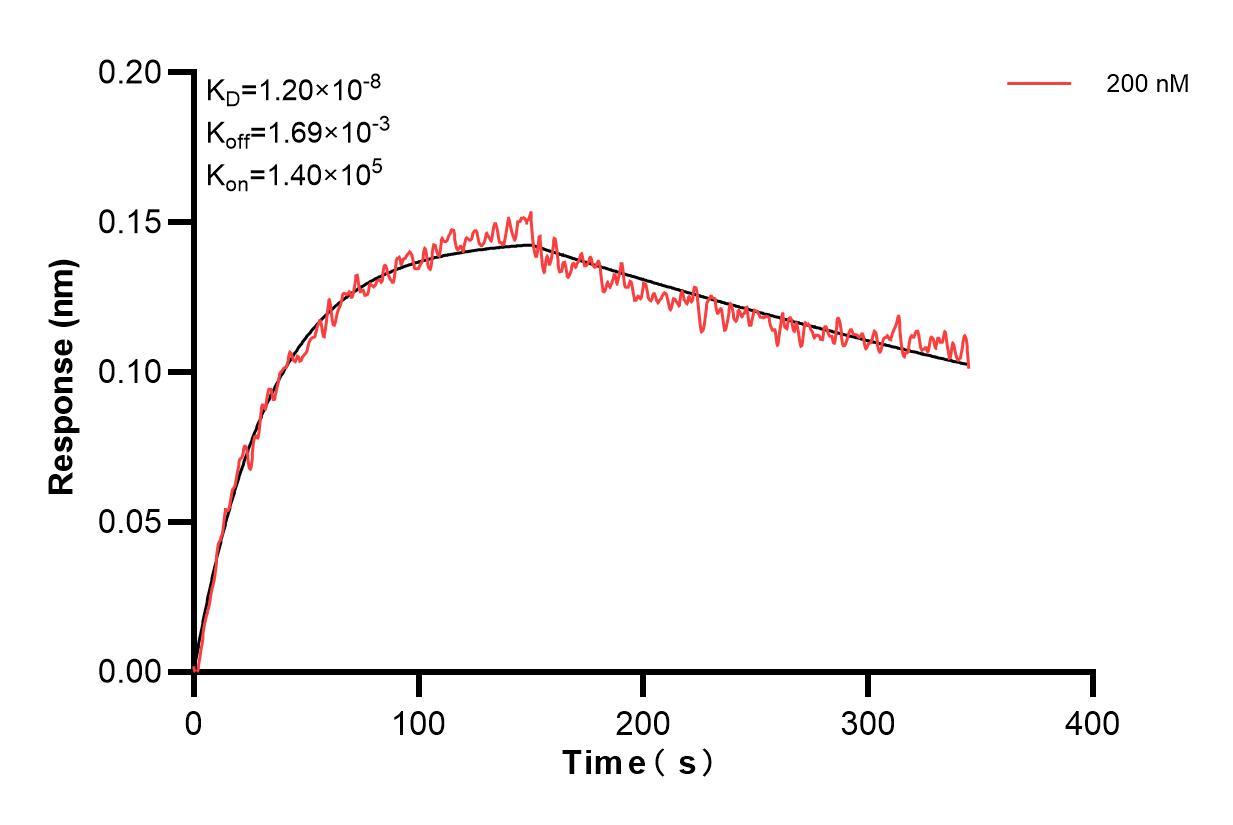 Affinity and Kinetic Characterization of 85756-3-PBS Affinity and Kinetic Characterization of 85756-3-PBS
